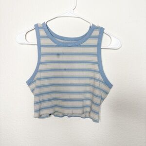 Striped Blue and White Crop Top